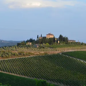 damario-panorama.it-tuscanyhotel.com/